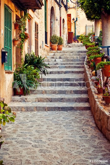 Bild på Street in Valldemossa village in Mallorca